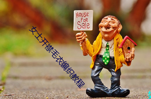 女士(sh)开(kāi)襟毛衣编织(zh)教(jio)程