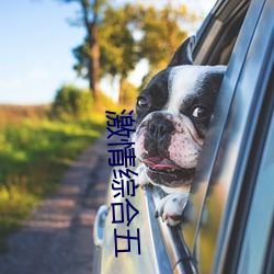 激情综(綜)合(合)五