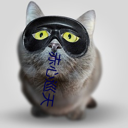 赤心巡天