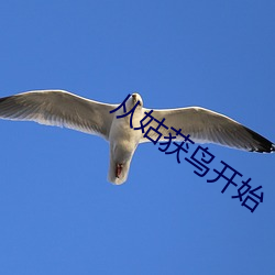 從姑獲鳥開始