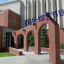 国(guó)外综(zōng)艺节目