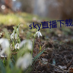 sky直播下载apk