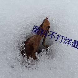 黑料不打烊最新地址入口