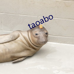 taoabo