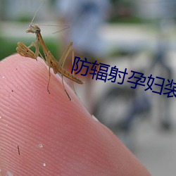 防辐(fú)射孕妇装(zhuāng)品(pǐn)牌