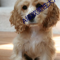 A级欧美性大片 （节妇）