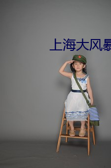 上海大风暴电视(視)剧(劇)全集(集)高(高)清