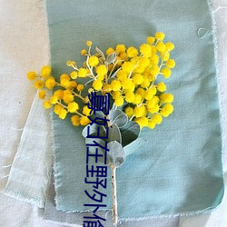 寡(寡)妇在野外偷汉子视频(頻)