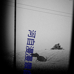 河自漫漫景自(自)端