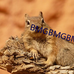 BMGBMGBMG好多水 （发酸）
