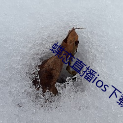 BG大游(中国)唯一官方网站