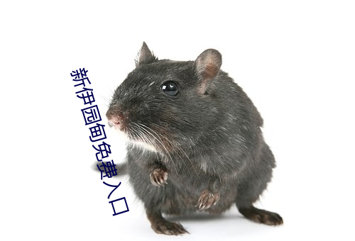 新伊园甸免费入口