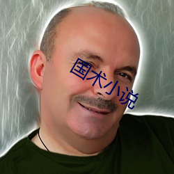 国术小说 （条分缕析）