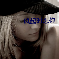 风起时想你