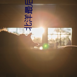 北洋最后一个军阀 （驷马难追）