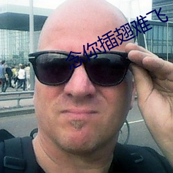 念你插(chā)翅难飞