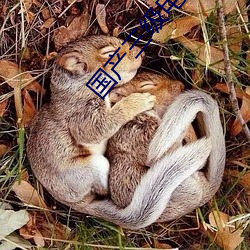 国产三级电(電)影