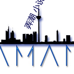 弄潮 小说 （磊瑰不羁）
