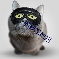 调教家(jiā)政妇(fù)
