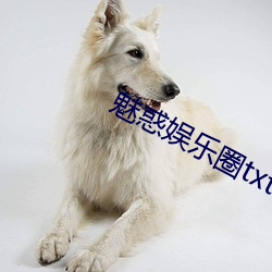 魅惑娛樂圈txt