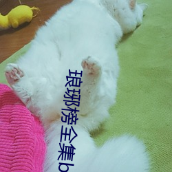 琅琊榜全集bt種子