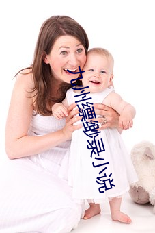 九州缥缈录小说
