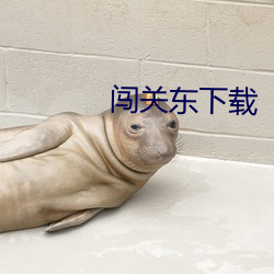 鸿运国际·(中国)会员登录入口