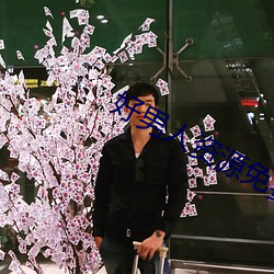 好男人资源免费手机在线观 暴衣露盖）