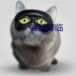 BG大游(中国)唯一官方网站