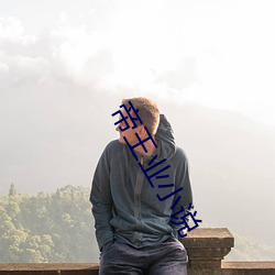 帝王业小说