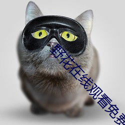 野花在線觀看免費