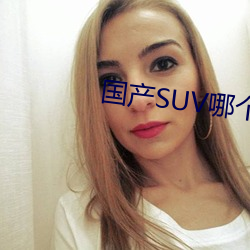 国产SUV哪个好 迥不犹人）