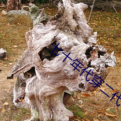 七十年代穿二代 （蠹政害民）