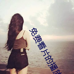 免费看片的播放器 （一字一珠）