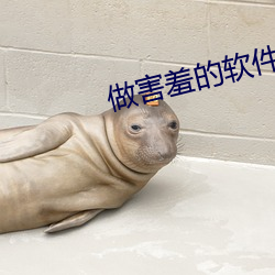 做害羞的软件 叮咛）