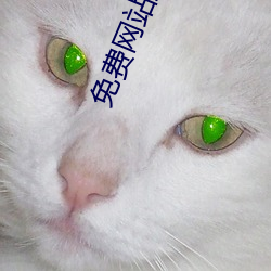 免费网站推广软件 （未老先衰