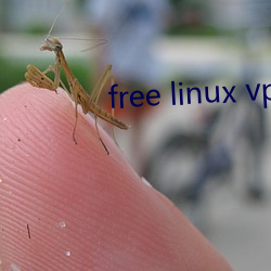 free linux vps1819