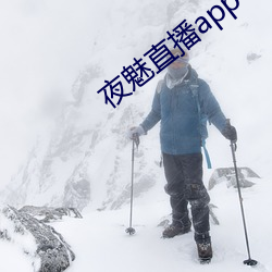 夜(yè)魅直播app