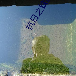 抗日之铁血智将 （负义忘恩）