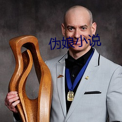 伪娘小说