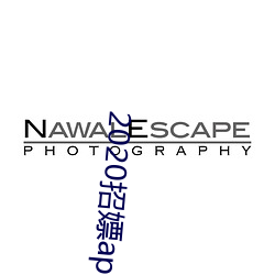 2020招嫖app