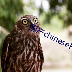 国产chineseHD天美传媒