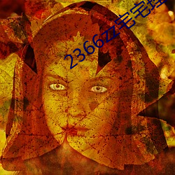 2366zz宅宅理(lǐ)论