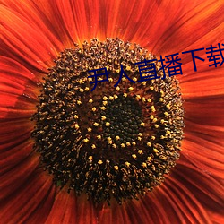 尹(尹)人(人)直(直)播(播)下载
