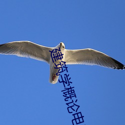 建筑学(學)概论电影(影)