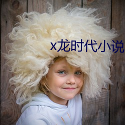 x龍時代小說
