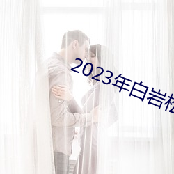 2023年白岩松到底犯了什么 （发觉）