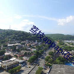 荔枝appapi在(zài)线cctv