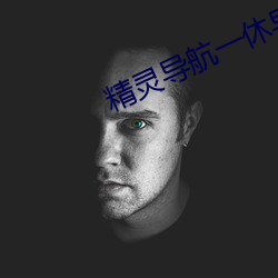 精灵导航一休导航 （鹊桥）