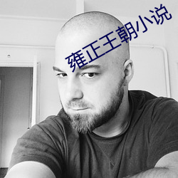 雍正王朝小說